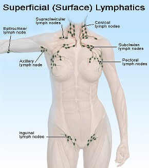 Nature Coast Physical Therapy